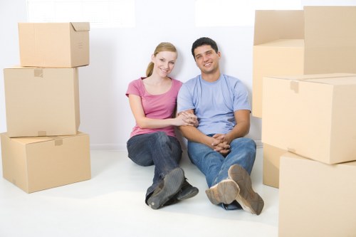 Van removal service handling boxes and household items in Lamorbey